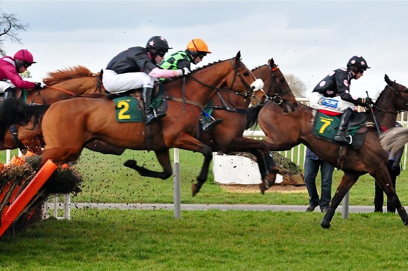 Horses in turf - betting syndicates