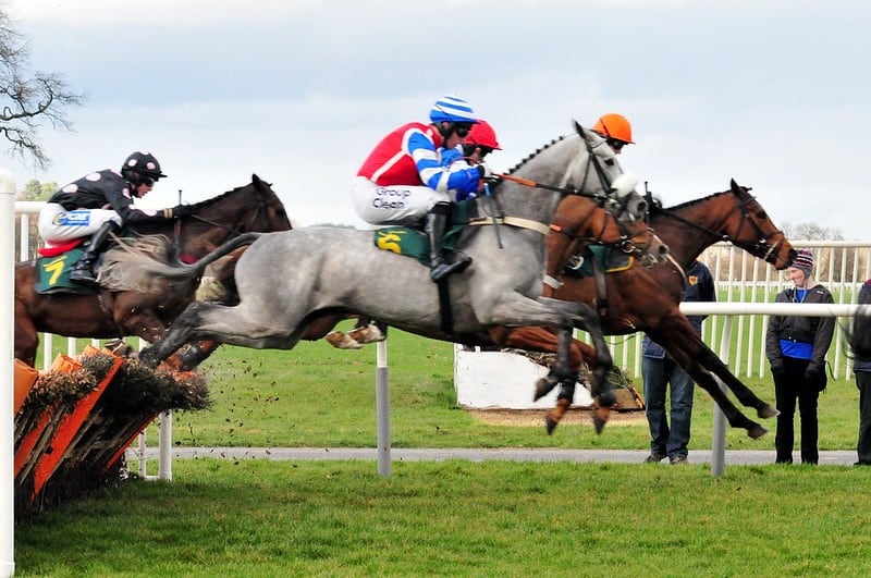 Horses jump hurdles - betting syndicates