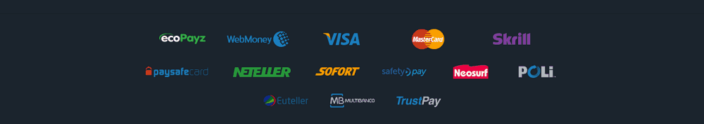 ZigZagSport payment options