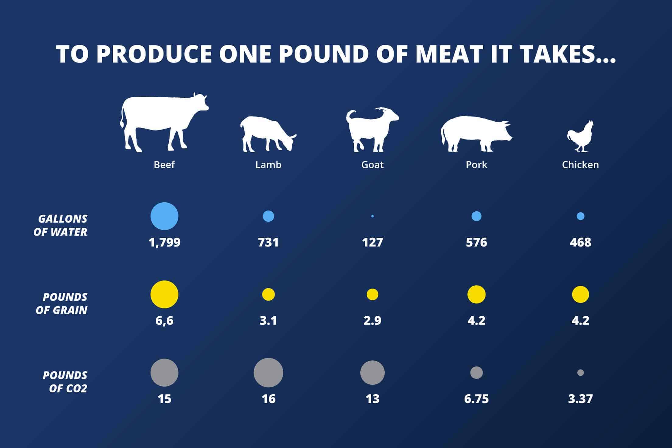 requirements for one pound of meat