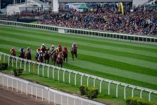 Horse Race